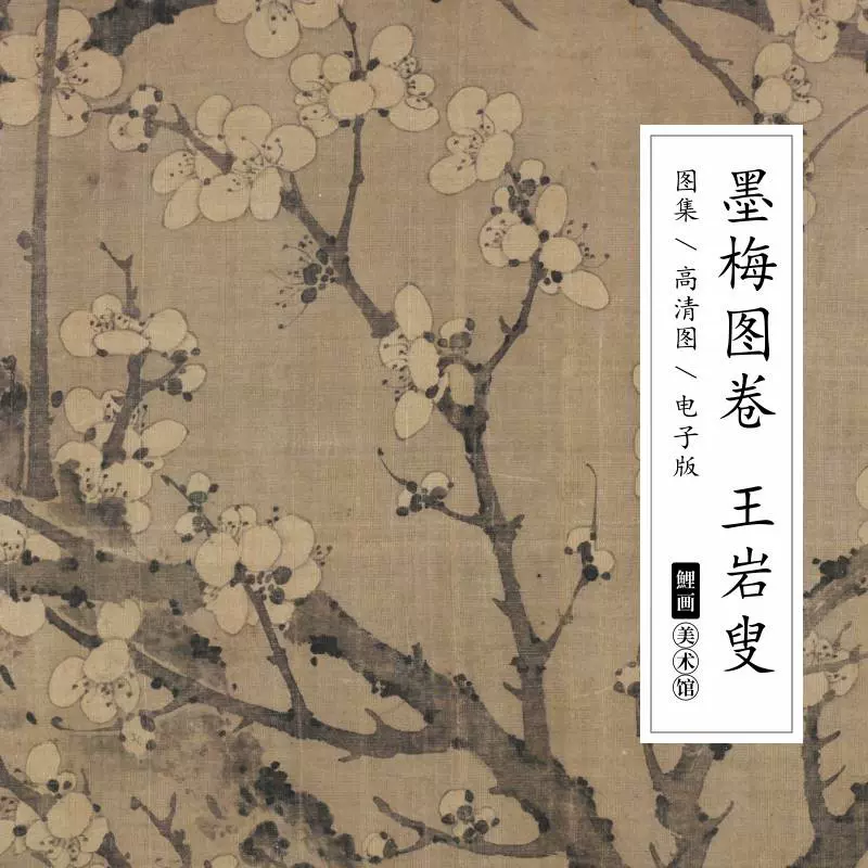書畫卷 梅花圖