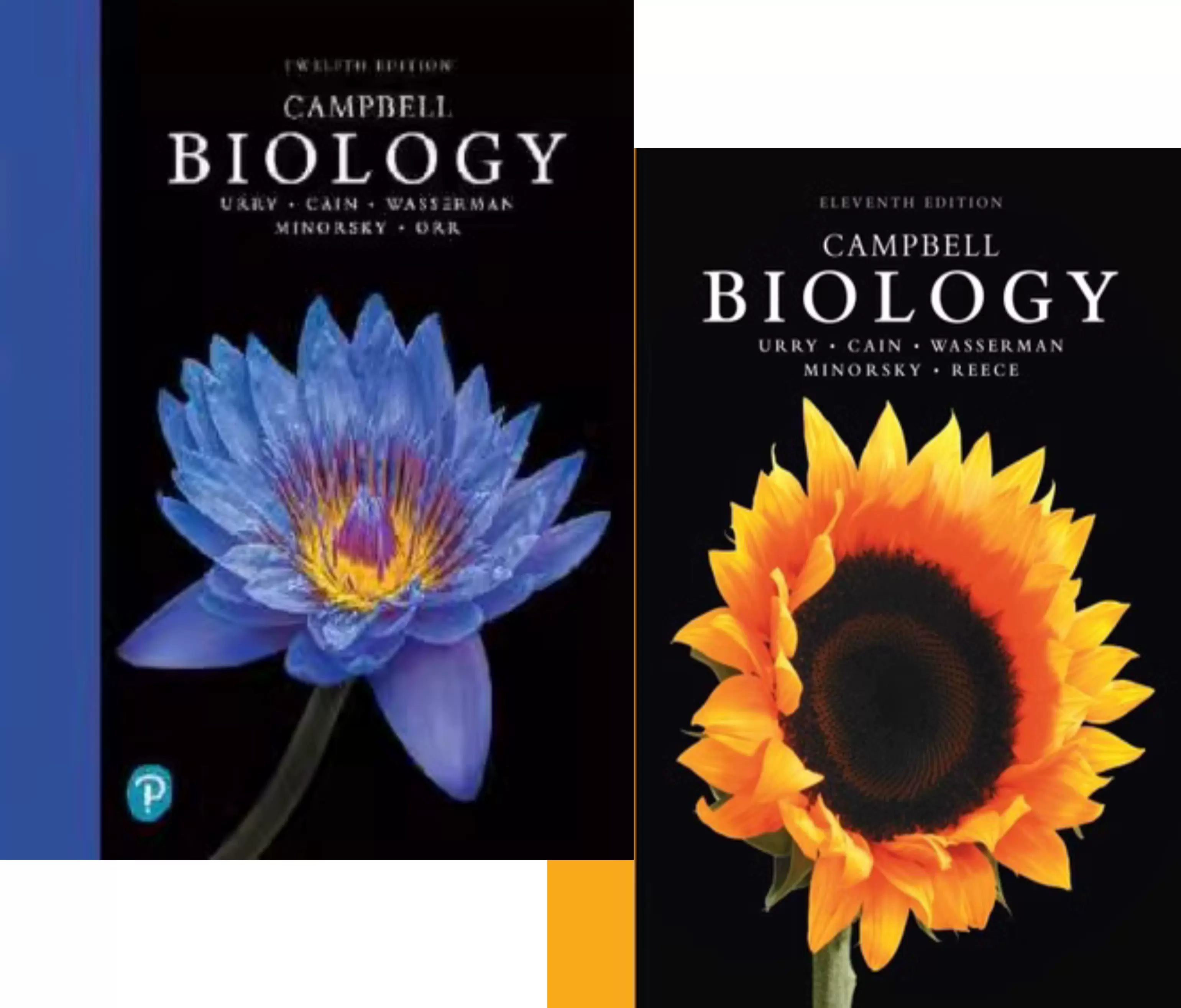 坎贝尔生物学Campbell Biology 11th 12th Edition全彩纸质书-Taobao