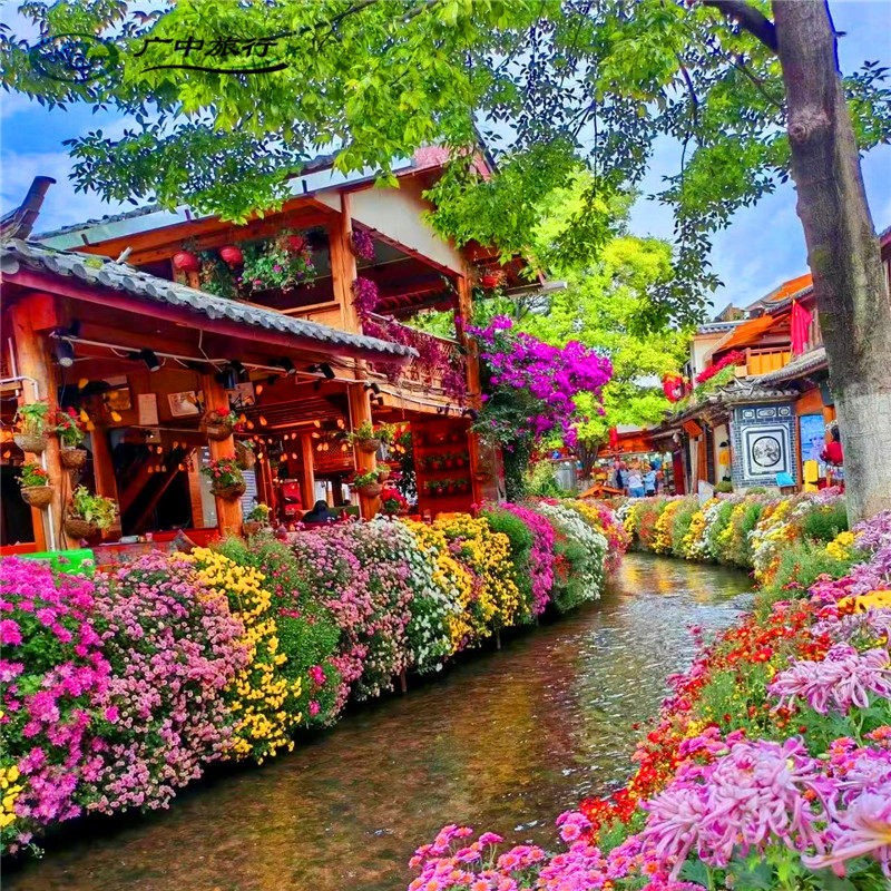 潮玩云南-动车直达丽江大理古城5天4晚赠送航拍/玉龙雪山冰川大索