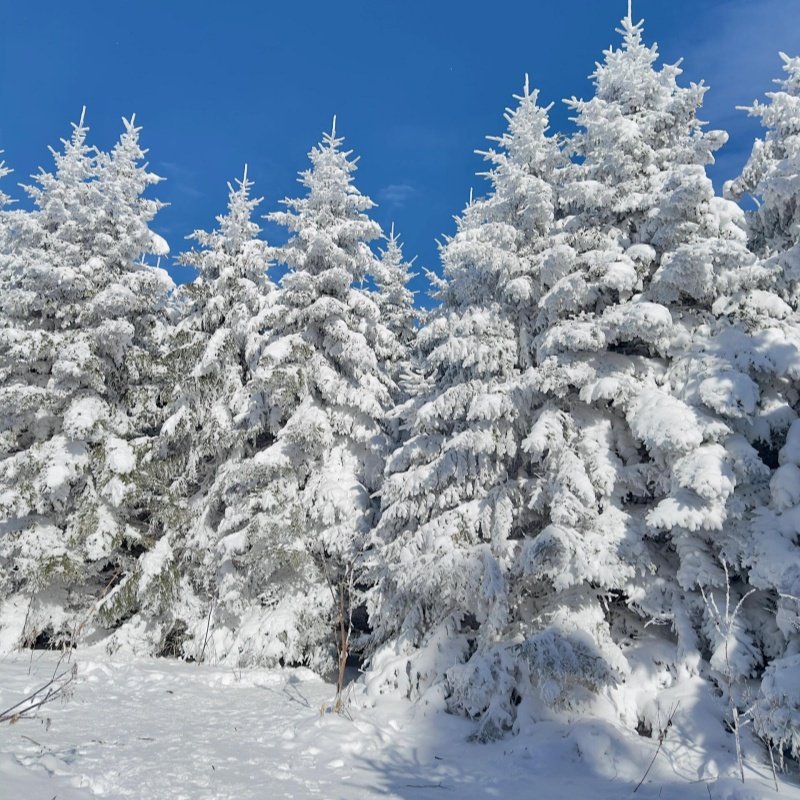 长白山雪岭/老里克湖+雾凇漂流一日游商务车2-6拼车二道延吉接送