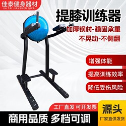 Parallel Bar Knee Lift Trainer, Vertical Hemisphere Backrest Abdominal Curl Machine, Gym Upper Arm Flexion and Extension Vertical Abdominal Curl Knee Lift Rack