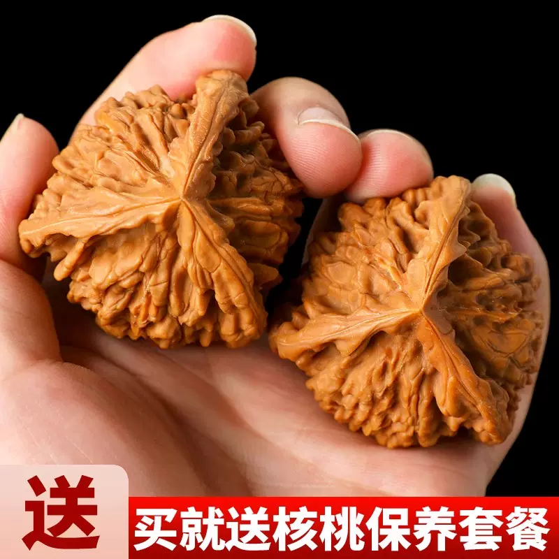 三棱核桃 天然野生三棱核桃小秋子文玩男士随身盘玩手把件