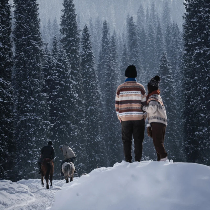 呼伦贝尔大草原阿尔山根河大兴安岭冬季旅游7天6晚纯玩私家团