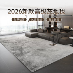 Carpet for Living Room 2026 New Model Light Luxury High-End Gray Minimalist Washable and Wipeable Bedroom Bedside Modern Sofa Rug