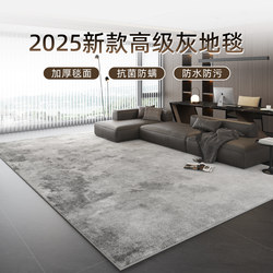 Carpet for Living Room 2025 New Model Light Luxury High-End Gray Minimalist Washable Wipeable Bedroom Bedside Modern Sofa Rug