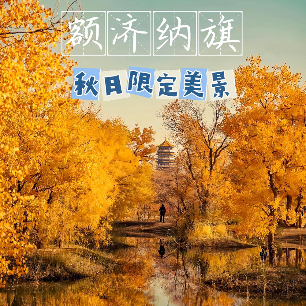 纯玩含机票8人小团 额济纳旗胡杨林甘肃青海莫高窟8天7晚跟团旅游