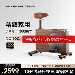 Jueying Mini Spinning Bike for Home Use, Small Indoor Silent Exercise Gym Equipment, Special for Weight Loss