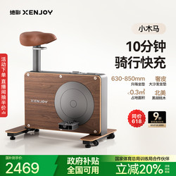 Jueying Mini Spinning Bike for Home Use, Small Indoor Silent Exercise Gym Equipment, Special for Weight Loss