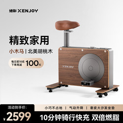 Jueying Mini Spinning Bike for Home Use, Small Indoor Silent Exercise Gym Equipment, Special for Weight Loss