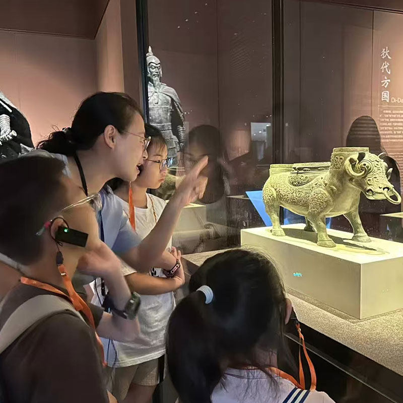 橄榄游 宁夏博物馆讲解2.5H深度人工讲解资深导游讲解竞品小团