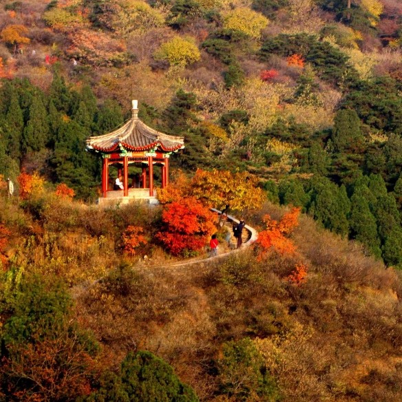 【一家一团】北京香山公园一日游含门票包车上门接送带司机旅游