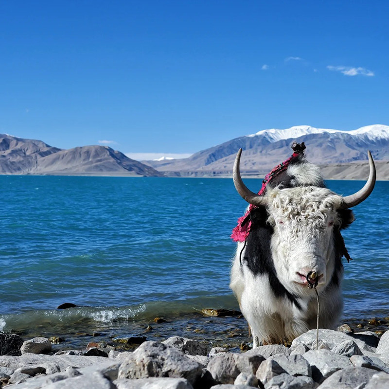 【广州出发】南疆秘境白沙湖瓦罕走廊喀什古城纯玩双飞跟团8日游