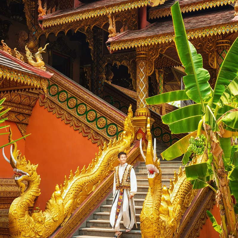 广东出发云南旅游西双版纳野象谷曼听公园般若寺5天4晚双飞跟团游