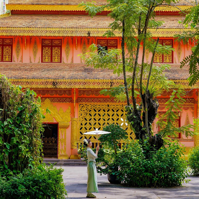 广东出发云南旅游西双版纳野象谷曼听公园般若寺5天4晚双飞跟团游