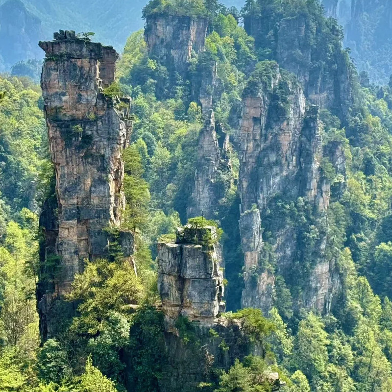 湖南长沙张家界天门山凤凰8天7晚自由行