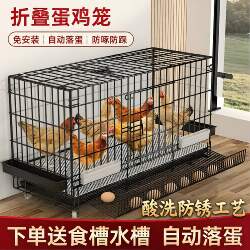 Large Outdoor Chicken Coop for Home Use, Automatic Manure Cleaning, Suitable for Laying Hens, Indoor Chicken and Duck Breeding, Rainproof
