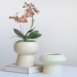 Simple Ceramic Flower Pot for Home Use, Nordic Style, ins Cream-Colored Light Luxury Orchid, Dream Orchid, Succulent Green Plant Bonsai Pot