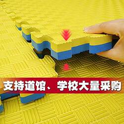 Taekwondo Floor Mat Interlocking Mat 100X100 Extra Large Size 1.0m Martial Arts Fighting Mat Kindergarten Foam Manufacturer