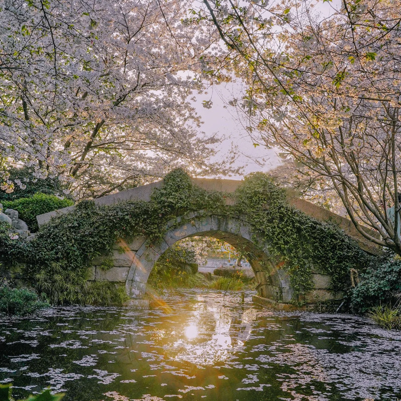 杭州旅游苏州乌镇特色客栈千岛湖南浔古镇西塘游船4天3晚跟团游