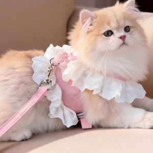 猫咪牵引绳可调节防挣脱胸背带背心式猫绳子小猫幼猫猫带遛猫