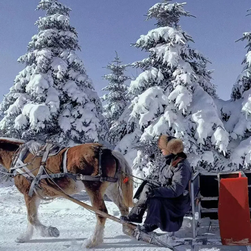 哈尔滨雪乡亚布力6天5晚冰雪大世界滑雪住雪乡内门票一价全含纯玩