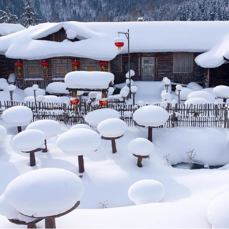 哈尔滨亚布力雪乡4日8人小团横道河子住雪乡内滑雪定点马拉爬犁