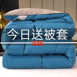 Down Quilt, Non-White Goose Down, Thickened Winter Quilt, Feather Velvet Spring and Autumn Quilt, Single/Double Dormitory Quilt, Cotton Quilt Core, Air Conditioning Quilt