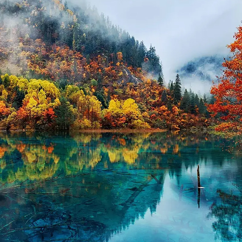 飞猪旅行成都自由行5天4晚熊猫基地都江堰青城山周边游【含机票】