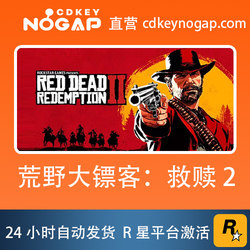 Red Dead Redemption 2 (Not a Steam Activation Code) R* Activation Code Red Dead Redemption 2