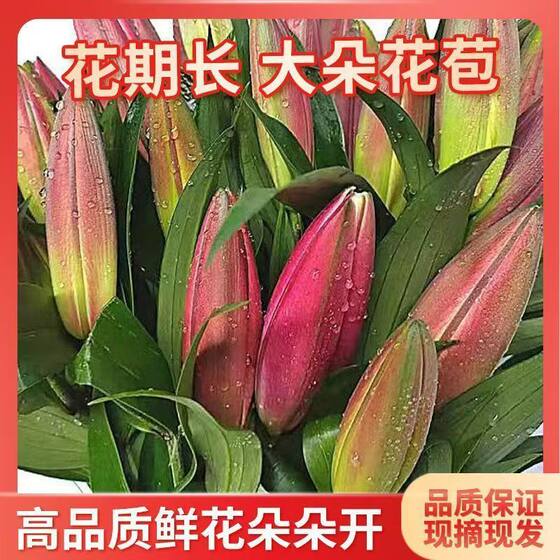 
Huang Tianba perfume lily flowers Yunnan base straight delivery holiday gift home flower arrangement flower bouquet lily flower