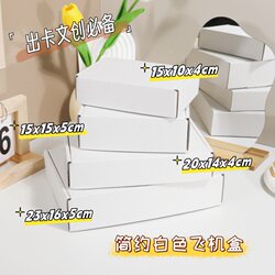 White Airplane Box 3-Layer Corrugated Paper Packaging Celebrity Card Packaging Universal Packaging Postal Carton Express Box