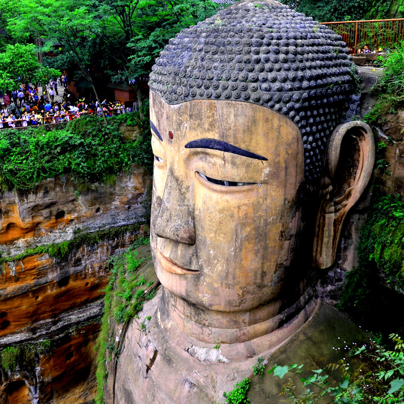 2-8人小团峨眉山乐山大佛纯玩1日游金顶黄龙溪熊猫基地成都周边游