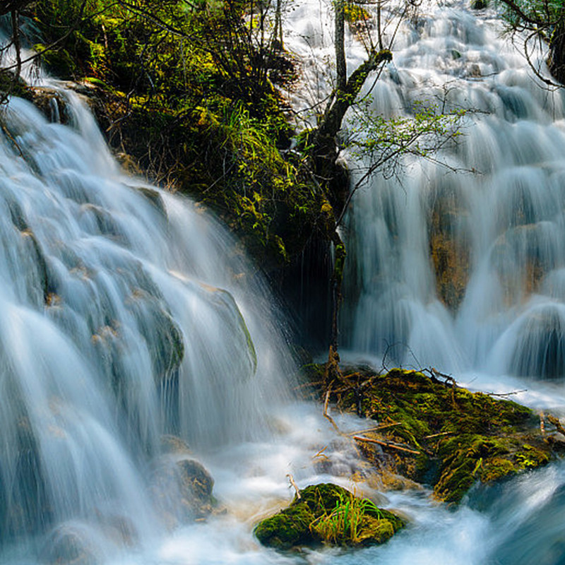 2-8人精品小团 九寨沟一日游 双动豪华往返纯玩