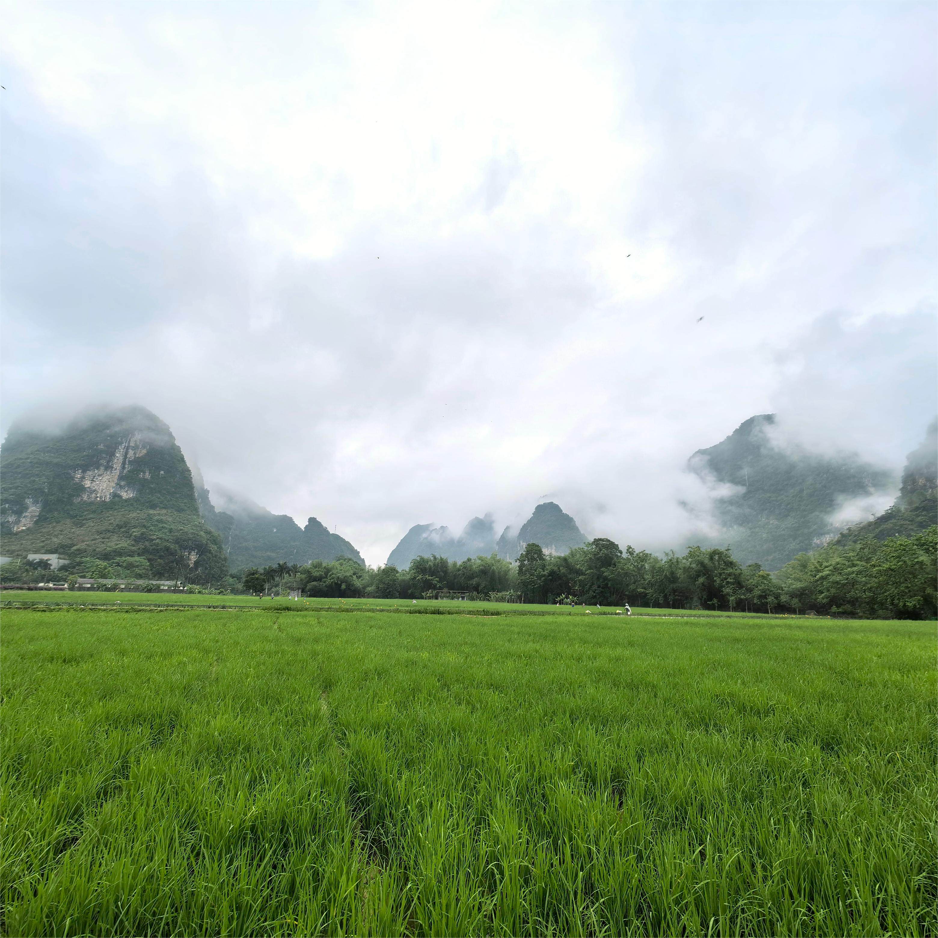 2-8人精品小团 德天瀑布+通灵+峒那屿湾竹筏+白头叶猴 纯玩4日游