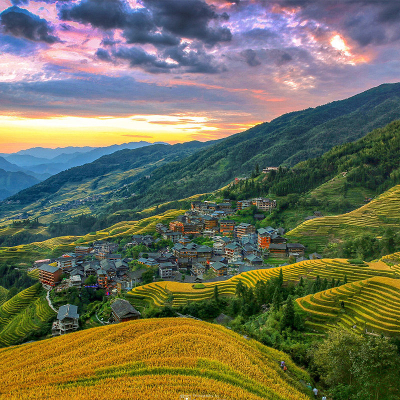 【一家一团】桂林旅游龙脊梯田金坑大寨黄洛瑶寨纯玩包车游一日游