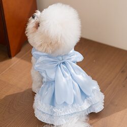 Pet Princess Dress, Flowing Dress, Spring and Summer Mesh Lace Princess Dress, Small and Medium-Sized Dog Clothes, Pet Clothing