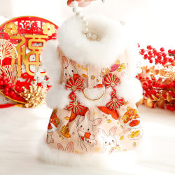 Dog Clothes Cat Princess Cotton Clothes Tang Suit Maomao New Year's Eve Small Dog Teddy Pet 4353