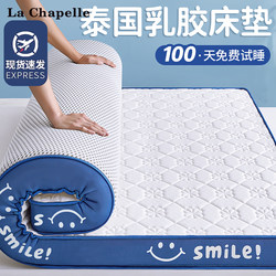 Latex Memory Foam Mattress Cover Soft Cushion for Home Bedroom Dormitory Student Single Tatami Sponge Mattress Pad