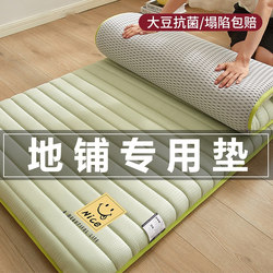 Mattress Soft Pad, Floor Sleeping Mat, Foldable Moisture-Proof Floor Mat for Home Use, Floor Sleeping Magic Tool, Single/Double Bed Rental-Specific Mat