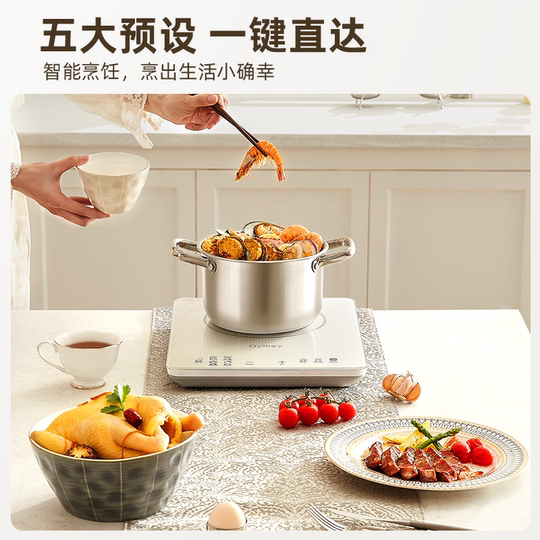 Oyikey 2200W IHクッキングヒーター - ドイツ技術、多機能