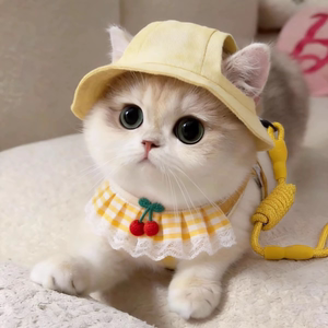 
Outdoor cat leash, outdoor harness, cloth doll silver gradient raccoon flower, small and medium-sized dog pet dog walking rope