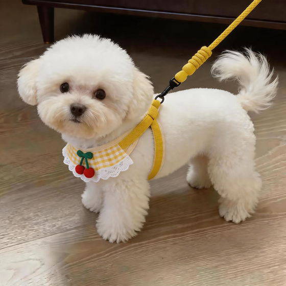 Dog leash outdoor outdoor carrier Teddy Bichon West Highland small and medium-sized dog pet dog walking rope