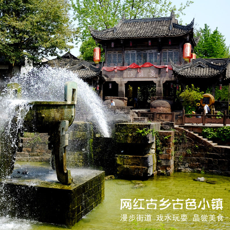 2-6人小团纯玩乐山大佛一日游峨眉山黄龙溪三苏祠成都周边跟团游