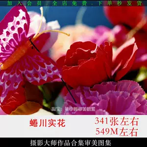 蜷川實花寫真- Top 50件蜷川實花寫真- 2024年3月更新- Taobao