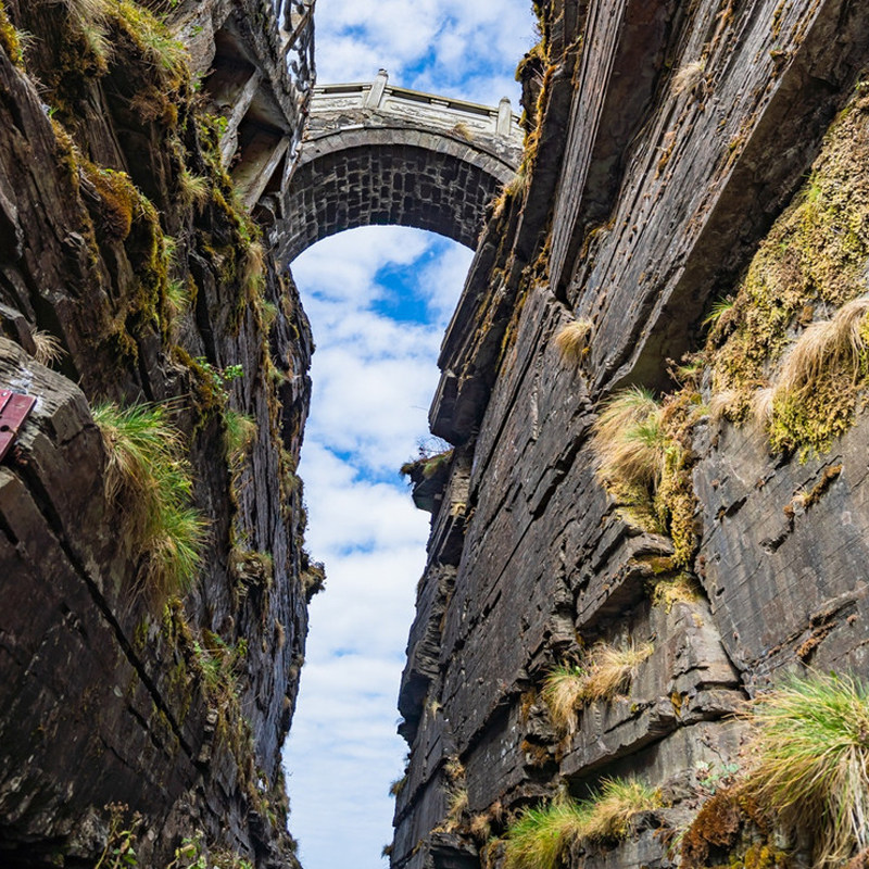 贵州旅游/贵阳出发/梵净山纯玩一日游 含蘑菇石+红云金顶+老金顶