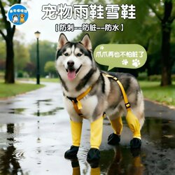 Special Dog Shoes for Huskies, Rain Boots for Outdoor Use, Waterproof, Insect-Proof, Snow-Proof, Suitable for All Seasons, Dirt-Resistant, Non-Slip, Thin Style for Pets