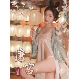 Mood large size sexy Han clothing female exotic style clothes and clothing, enchanting antique suspender chiffon outer shirt thin skirt
