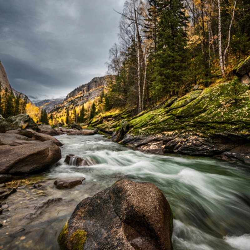 【纯玩】喀纳斯+可可托海+天山天池8天双飞