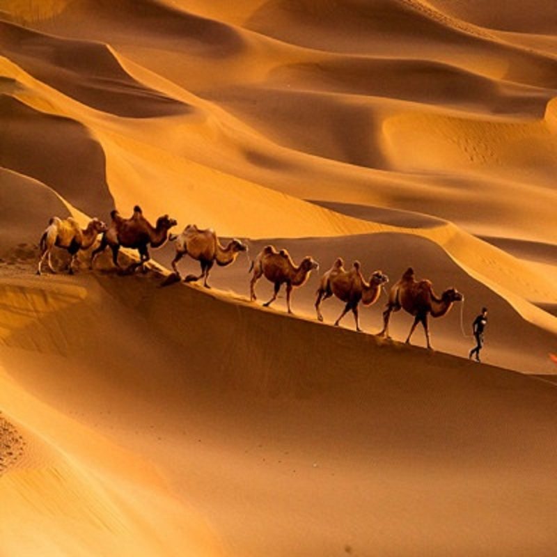 【纯玩】喀纳斯+可可托海+天山天池8天双飞