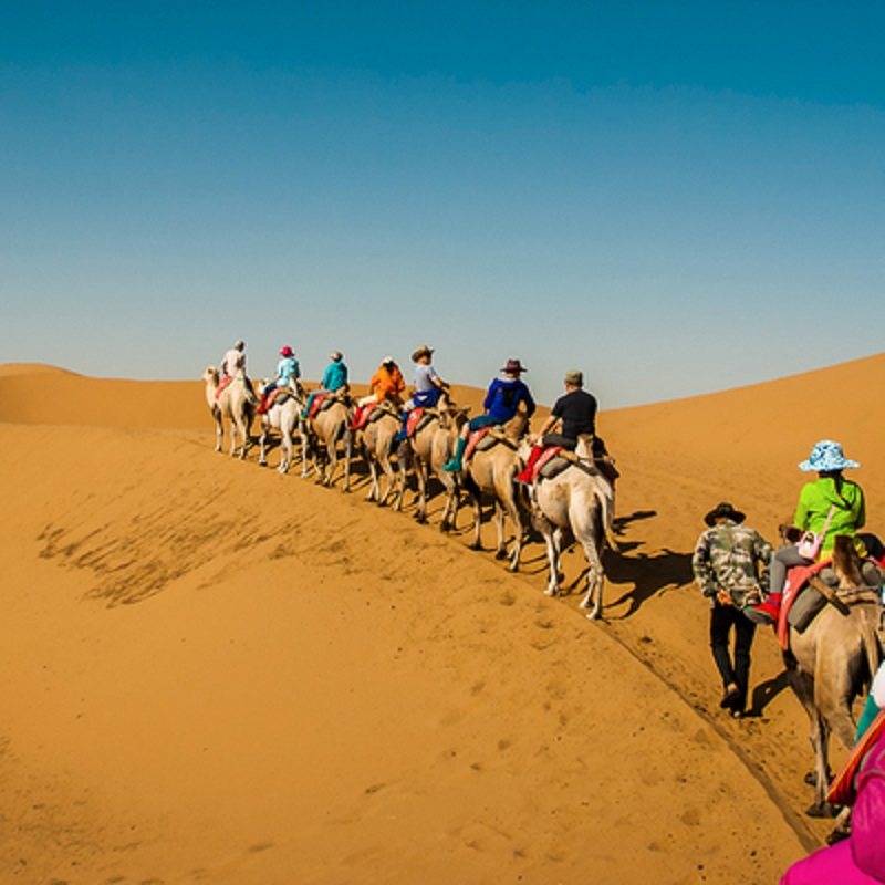 玩转宁夏银川+吴忠+中卫纯玩双飞6天